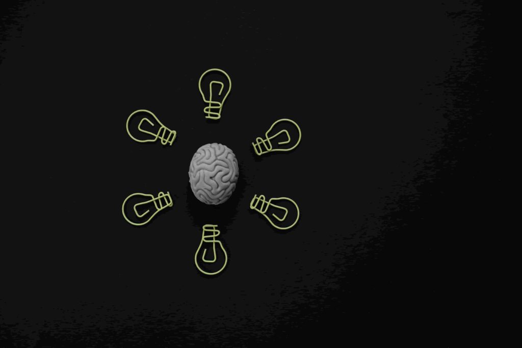 second brain
health brain